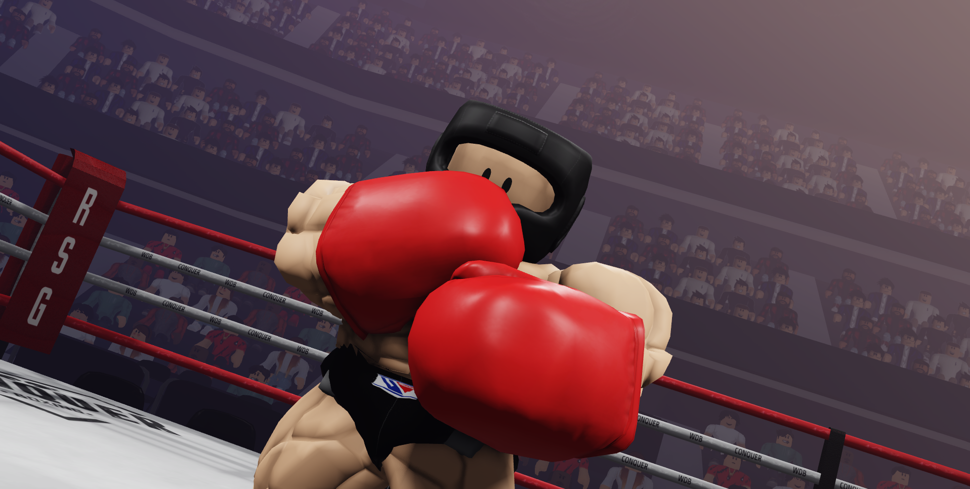 Boxing arena stance preview